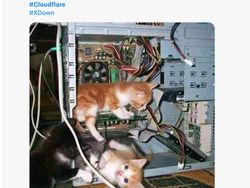 Cloudflare Down Bikin Internet Kacau, Meme Kocak Jadi Pelampiasan Netizen
