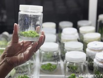 6 Pekerjaan untuk Lulusan STEM yang Menjanjikan pada Masa Depan, Ada Incaranmu?