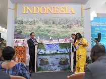 Video: Di COP30, Indonesia-Kongo Ajak Semua Negara Kelola Lahan Gambut
