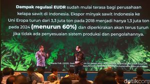 Panduan ESG Nasional Dorong Transformasi Hijau Industri Sawit