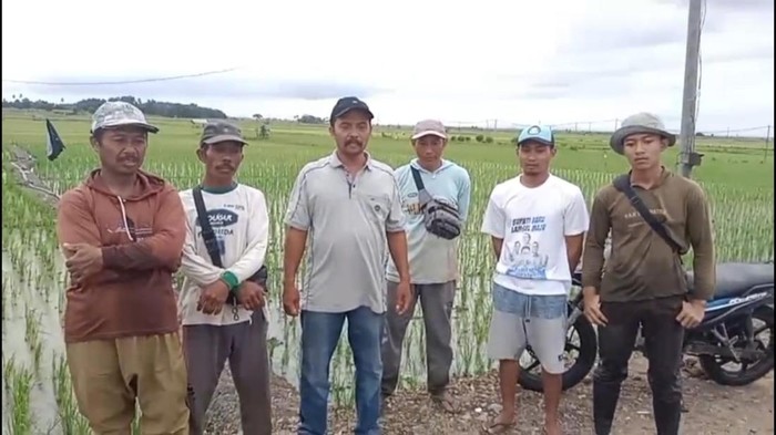Petani Lampung ucapakan terima kasih ke pemerintah