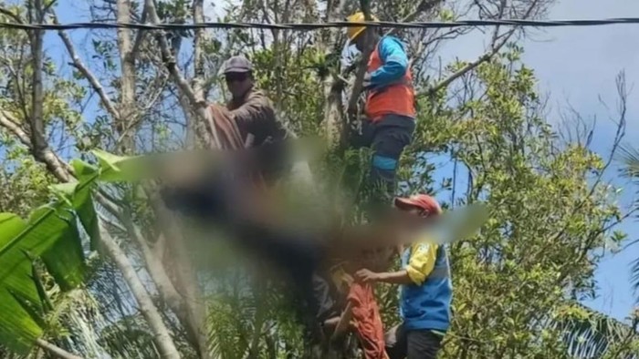 Proses evakuasi korban tersetrum listrik di Pemalang, Rabu (19/11/2025).