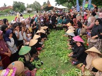 27 Tim Emak-emak di Banyuwangi Adu Cepat Ikat Kangkung