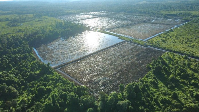Salah satu program cetak sawah di Kota Tarakan. (Istimewa/Dinas Pertanian Kota Tarakan)