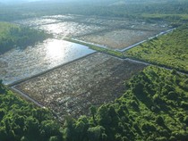 Kebut Cetak Sawah 202 Hektare di Tarakan, TNI Dilibatkan Garap Lahan