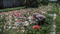 Tumpukan sampah rumah tangga yang menutup jalur aliran membuat air menggenang dan mengalir sangat lambat. Warga sekitar mengaku kesulitan karena saluran irigasi yang seharusnya menjadi jalur pembuangan air kini tak lagi berfungsi optimal.