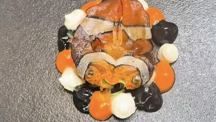Wow! Chef Ini Nekat Masak Ikan Nemo jadi Menu Mewah