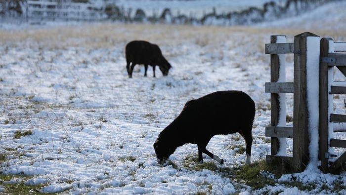 Cars drive through snow near Penistone, as freezing conditions grip Northern England during a cold snap, Britain, November 19, 2025. REUTERS/Temilade Adelaja