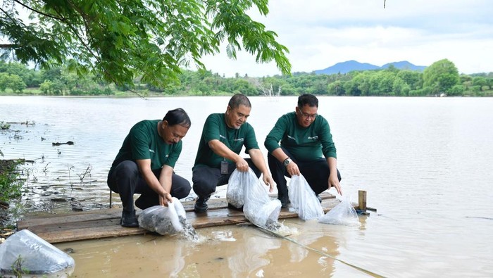 Direktur Utama Bank NTB Syariah Nazaruddin bersama Sekda Kabupaten Sumbawa Budi Prasetiyo lepas bibit ikan di bendungan Penyaring di Kabupaten Sumbawa.