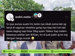 Penyebar Isu Pakan Harimau Ragunan Dibawa Pulang Klarifikasi & Minta Maaf
