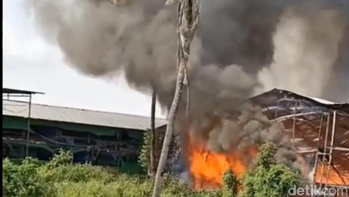 Kebakaran kandang ayam di Probolinggo