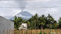 Sebelumnya, Gunung Semeru di Lumajang mengalami erupsi dan meluncurkan awan panas guguran sejauh 13 kilometer pada Rabu (20/11/2025).