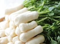 7 Manfaat Parutan Lobak Putih untuk Kesehatan yang Kaya Nutrisi bagi Tubuh