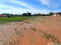 2 Hektare Sawah Terdampak Longsor Cilacap, Petani Menjerit