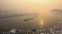 Seorang pria menaiki perahu di sungai Yamuna pada pagi yang berkabut di tengah polusi udara yang terus berlanjut di New Delhi, India, Kamis (20/11/2025). REUTERS/Anushree Fadnavis