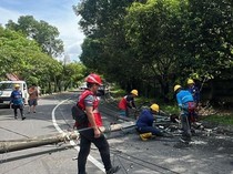 Video: 7 Tiang Listrik Roboh gegara Pohon Tumbang Timpa 4 Kendaraan di Makassar