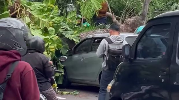 Pohon besar di Jalan Sisingamangaraja, Senayan, Jakarta Selatan tumbang. Batang pohon tersebut menimpa mobil hingga konstruksi MRT. (dok Pribadi/IG @a.candenibg)