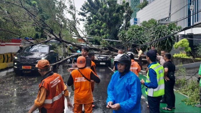 Pohon Tumbang di Jl DI Panjaitan Cawang, Lalin Macet