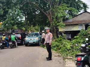 Lalin Jalan Cenderawasih Raya Tangsel Sempat Macet Imbas Pohon Tumbang
