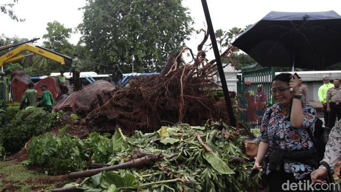 Pohon tumbang membuat penutup lintasan MRT rusak di Bundaran Senayan, Jakarta. Hingga Kamis (20/11/2025) pukul 15.20 WIB, petugas masih melakukan penanganan.