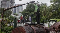Petugas melakukan evakuasi pohon tumbang di Jl Sisingamangaraja dekat Bundaran Senayan, Jakarta, Kamis (20/11/2025) pukul 15.20 WIB. Pohon tumbang membuat jalanan tertutup.