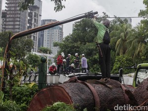 Video Detik-detik Pohon Tumbang di Senayan, 524 Penumpang MRT Dievakuasi