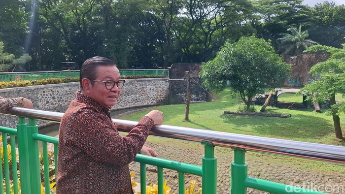 Pramono beri pakan harimau di Ragunan. (Brigitta/detikcom)