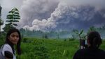 Semeru Erupsi, Awan Panas Menggulung Lereng Sumberwuluh