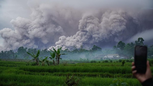 Semeru Erupsi, Awan Panas Menggulung Lereng Sumberwuluh