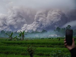 Video: DPR Minta Basarnas Gerak Cepat Evakuasi Pendaki Terjebak di Semeru