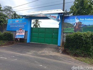 Hasil Uji Sampel Penyebab Keracunan MBG di Ponpes Magelang: Ada Bakteri E-coli