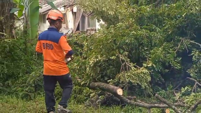 Tim BPBD Lebak melakukan penanganan terhadap pohon tumbang yang menimpa asrama polisi. (dok. istimewa)