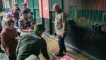 Viral Harimau Kurus, Gubernur Pramono Langsung Cek Kondisi Ragunan