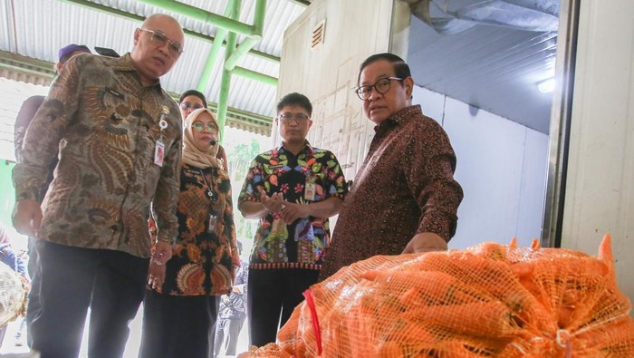 Gubernur DKI Jakarta Pramono Anung (kanan) didampingi Kepala Dinas Pertamanan dan Hutan Kota Fajar Sauri (kiri) melihat langsung pakan hewan sebelum diberikan di Taman Margasatwa Ragunan, Jakarta, Kamis (20/11/2025).  Kunjungan tersebut untuk memastikan viralnya video seekor harimau kurus yang diduga karena kelaparan akibat pakan dibawa pulang oleh petugas, dari hasil kunjungan tersebut, Pramono membantah adanya kejadian dalam video tersebut. ANTARA FOTO/Muhammad Iqbal