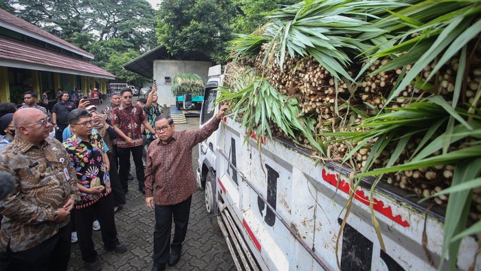 Gubernur DKI Jakarta Pramono Anung (kanan) didampingi Kepala Dinas Pertamanan dan Hutan Kota Fajar Sauri (kiri) melihat langsung pakan hewan sebelum diberikan di Taman Margasatwa Ragunan, Jakarta, Kamis (20/11/2025).  Kunjungan tersebut untuk memastikan viralnya video seekor harimau kurus yang diduga karena kelaparan akibat pakan dibawa pulang oleh petugas, dari hasil kunjungan tersebut, Pramono membantah adanya kejadian dalam video tersebut. ANTARA FOTO/Muhammad Iqbal