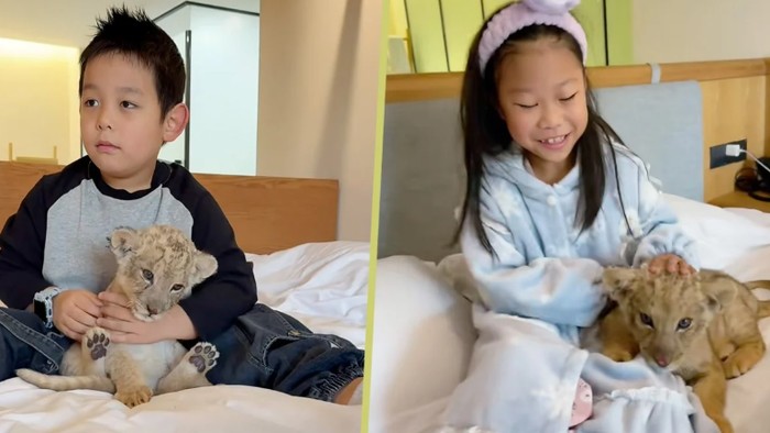 Wake up call dengan anak singa di hotel Tiongkok