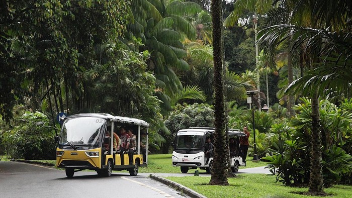 Wali Kota Bogor Dedie A. Rachim mengajak para delegasi dan tamu 'The Ambassador Summit 2025: Road to 71st Asia-Africa Conference' menikmati teduhnya Kebun Raya Bogor, Jawa Barat, Kamis (20/11/2025). Wali Kota Dedie menunjukkan bagaimana pusat konservasi tersebut masih terjaga dan pernah menjadi bagian dari sejarah Konfrensi Asia-Afrika (KAA) sebelum dilakukan KAA di Bandung 1955.