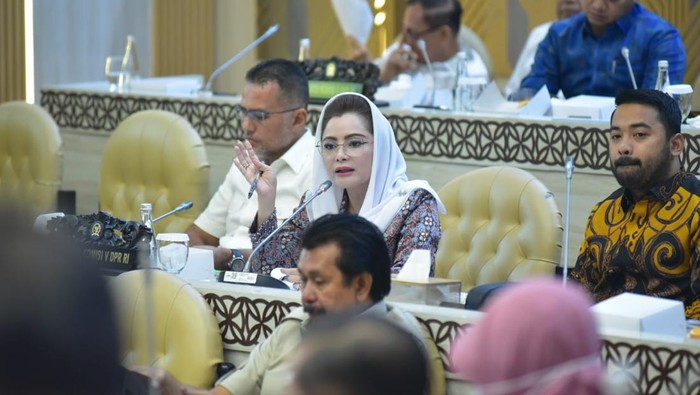 Anggota Komisi V DPR RI Fraksi Partai Gerindra, Novita Wijayanti.