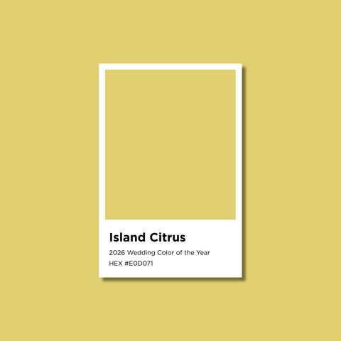 Citrus Island, Tren Warna Pernikahan 2026 Citrus Island, Tren Warna Pernikahan 2026.