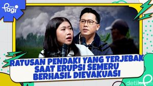 Video: Ratusan Pendaki yang Terjebak Saat Erupsi Semeru Berhasil Dievakuasi
