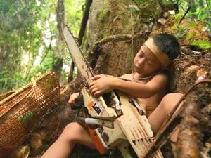 Film The Lost Forest Karya Sineas Kaltara Menang Sayembara Maxstream