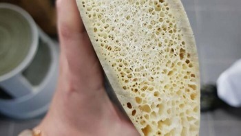 Potongan Melintang Tulang Rusuk Paus Foto: Boredpanda