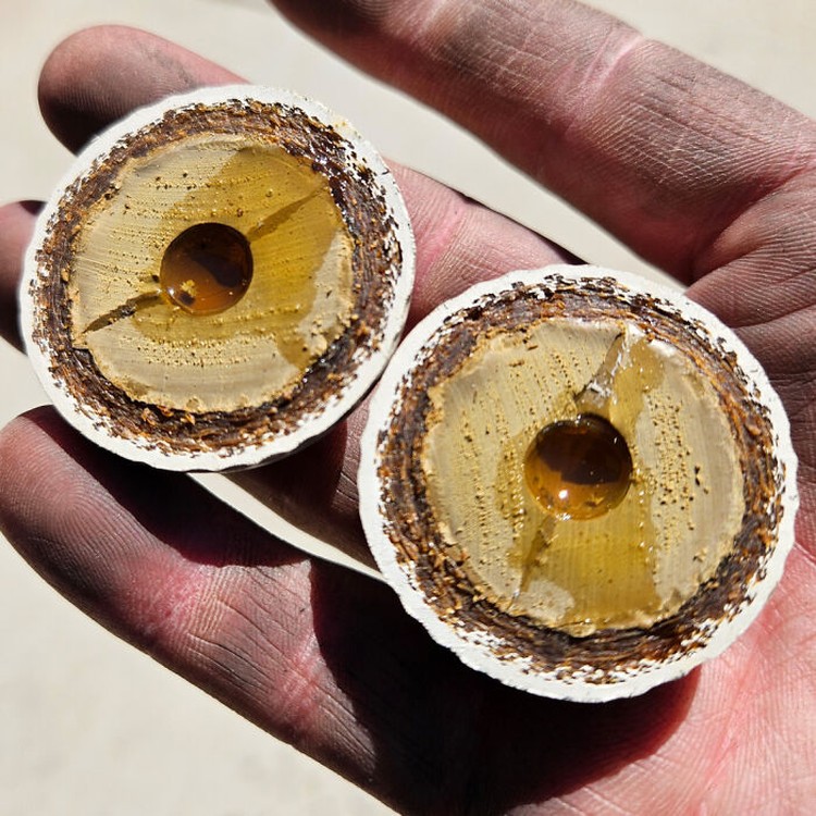 Foto saat benda dibelah