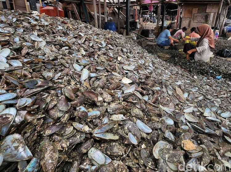 Kerang Hijau dan Liku Ekonomi Warga Muara Angke