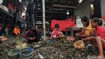 Kerang Hijau dan Liku Ekonomi Warga Muara Angke