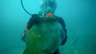 Kota Tenggelam di Danau Issyk-Kul Ungkap Jalur Sutra Abad Pertengahan