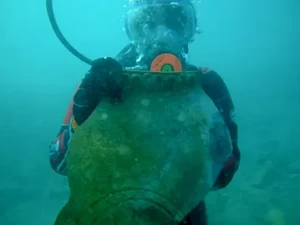 Kota Tenggelam di Danau Issyk-Kul Ungkap Jalur Sutra Abad Pertengahan