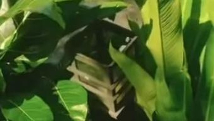 Lampu taman hilang di Bogor (dok. Istimewa)