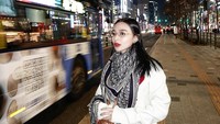 Penyanyi cantik ini juga liburan ke Korea Selatan. Memakai syal dan sweater, Wika menikmati musim dingin di Negeri Ginseng. (Wika Salim/Instagram)