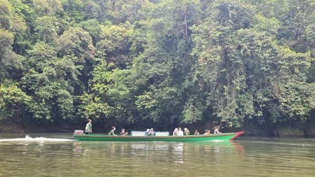 Pelepasliaran Orangutan Artemis dan Gieke